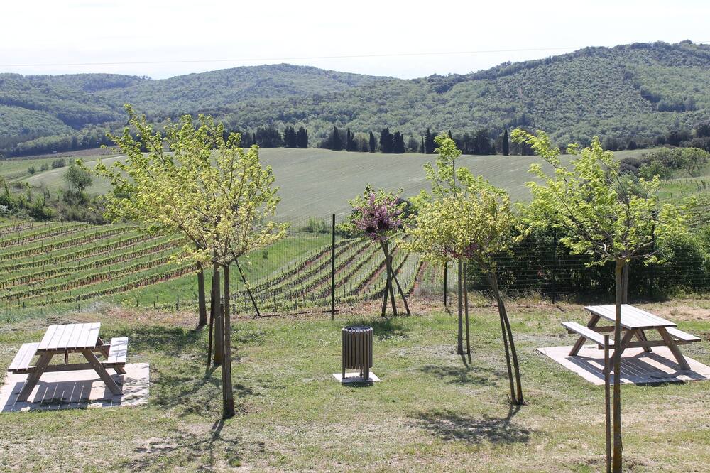 Photo of Outdoor in Montclar