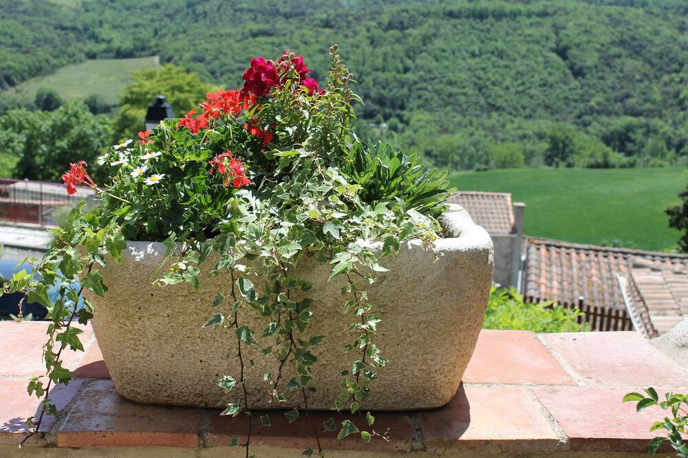 Photo of Outdoor in Montclar