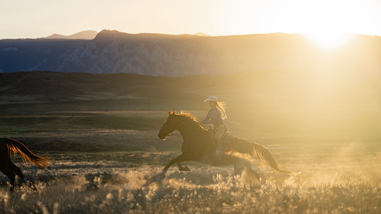 Photo of Others in Buffalo