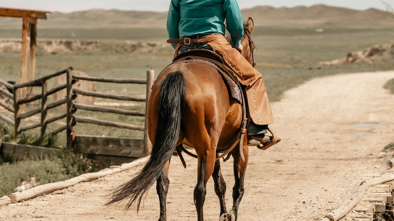 Photo of Others in Buffalo