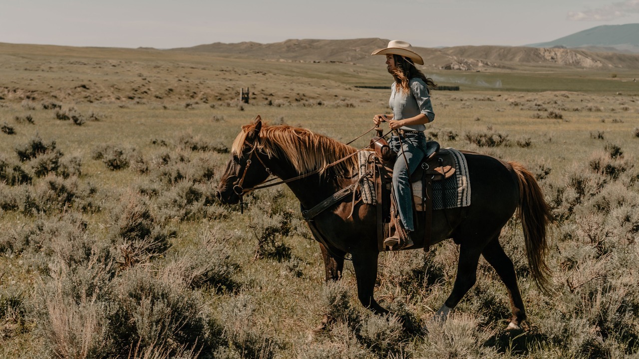 Photo of Others in Buffalo