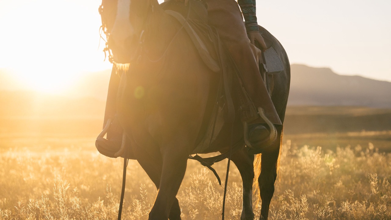 Photo of Others in Buffalo