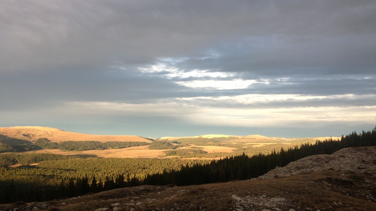 Photo of Others in Buffalo