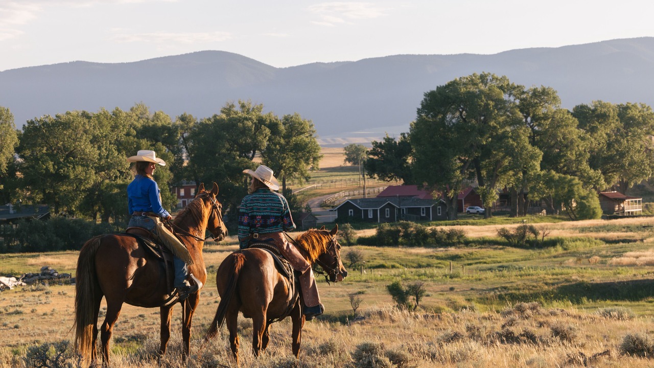 Photo of Others in Buffalo