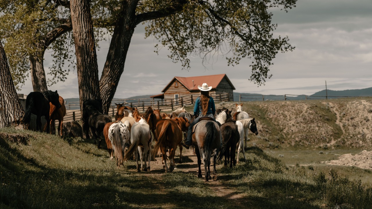 Photo of Others in Buffalo