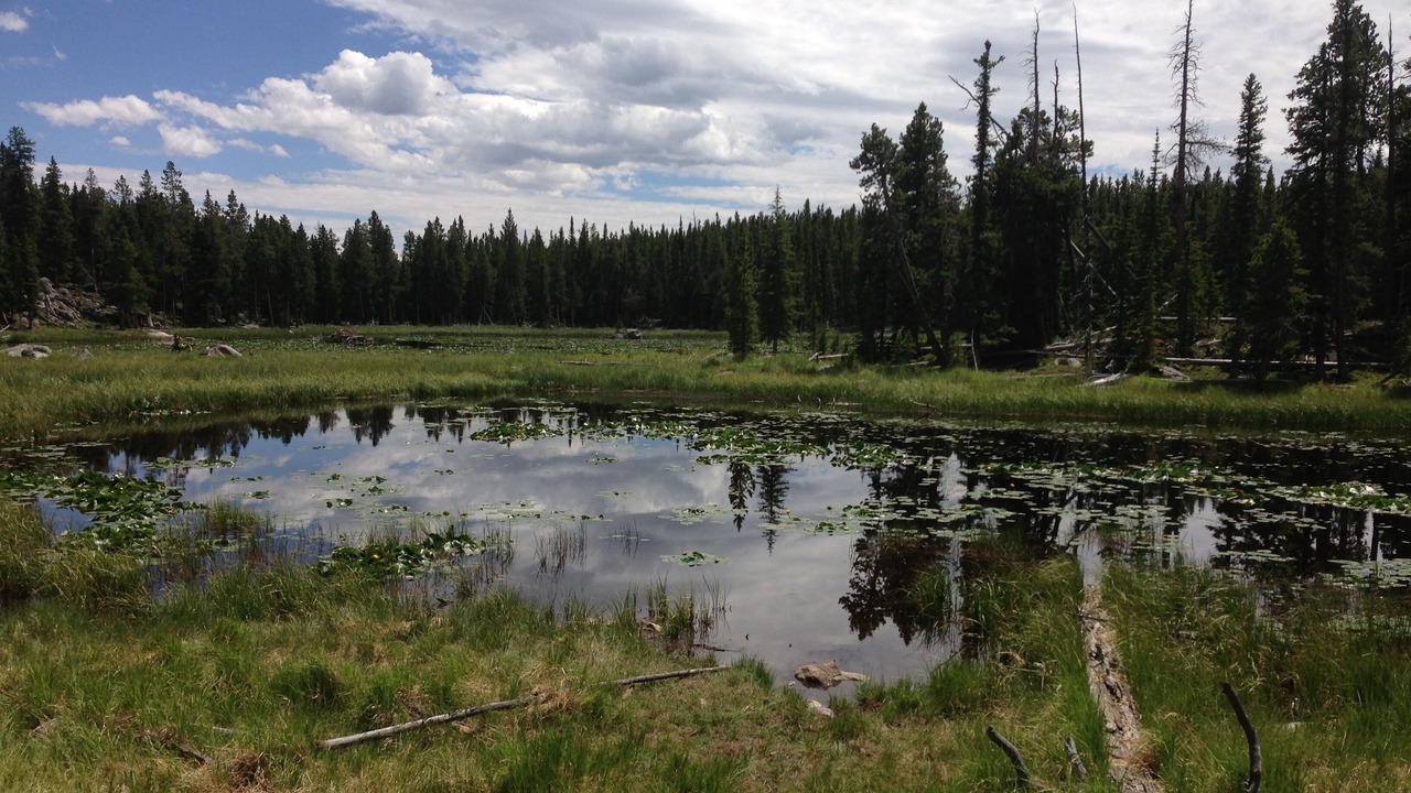 Photo of Others in Buffalo