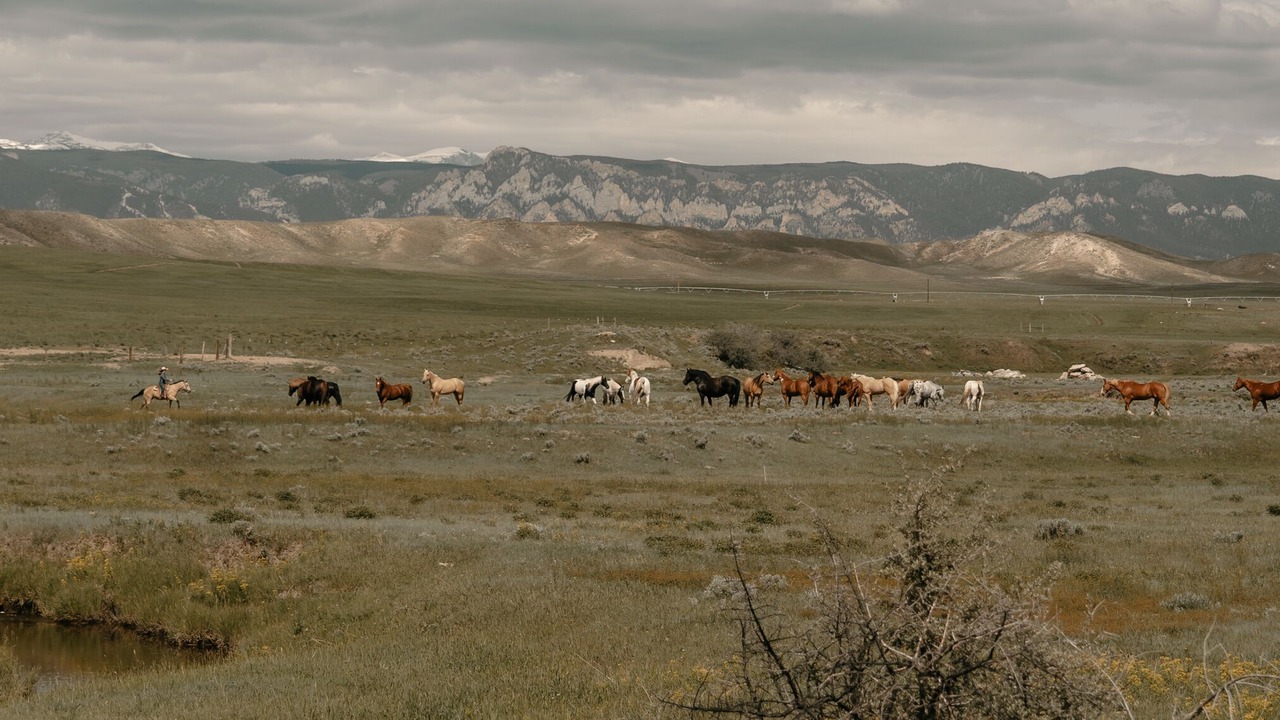 Photo of Outdoor in Buffalo