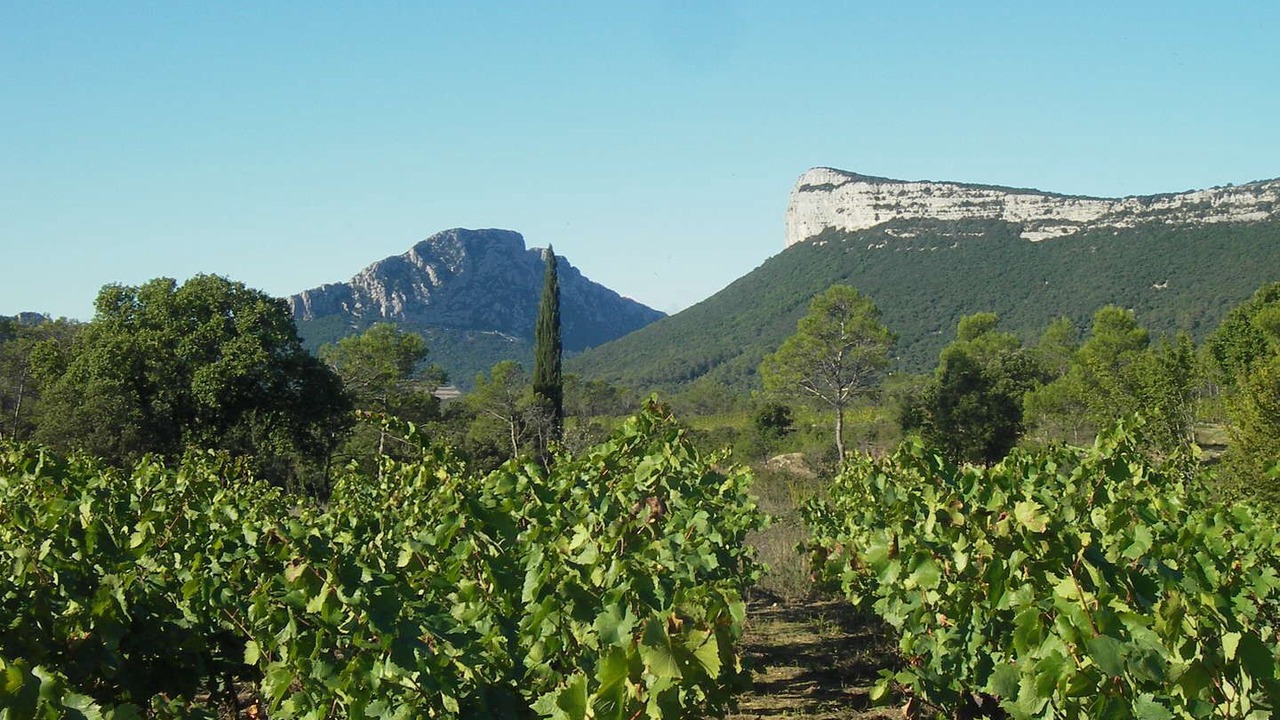 Photo of Outdoor in Le Cres