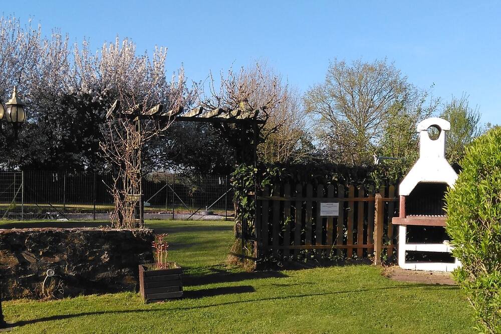 Photo of Outdoor in Madre