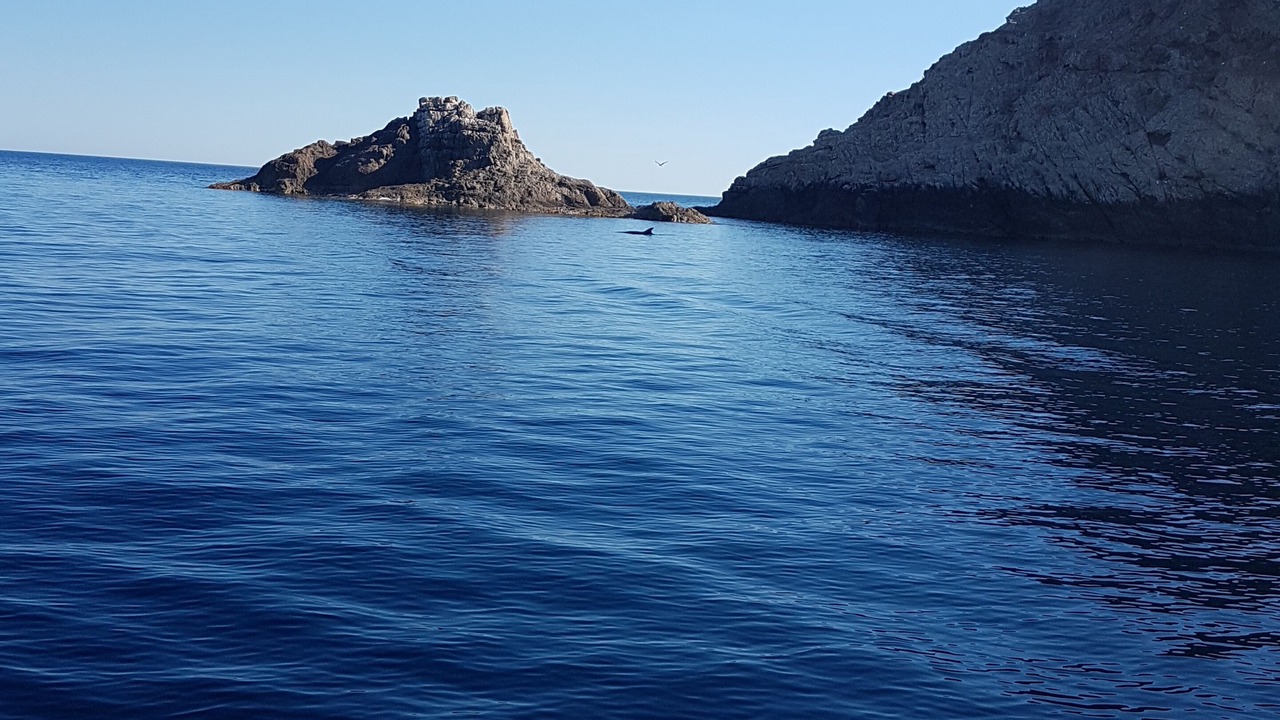 Photo of Others in Marine de Davia