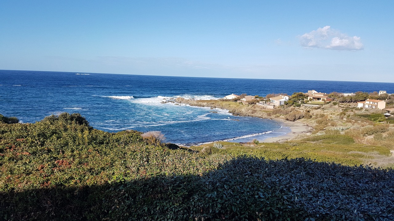 Photo of Others in Marine de Davia