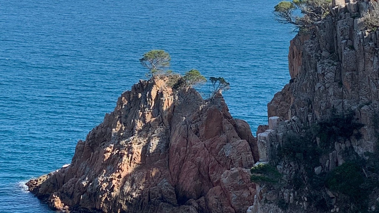 Photo of Others in Marine de Davia