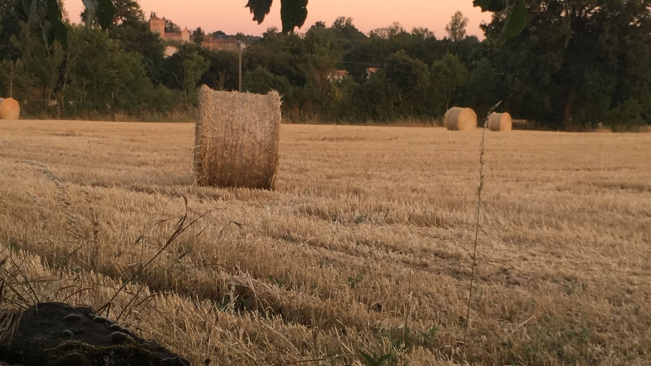 Photo of Others in Saint-Maurice-le-Girard