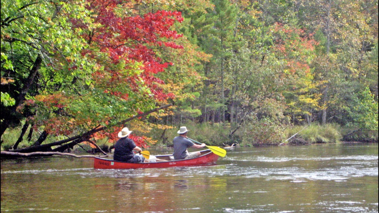 Photo of Others in Baldwin