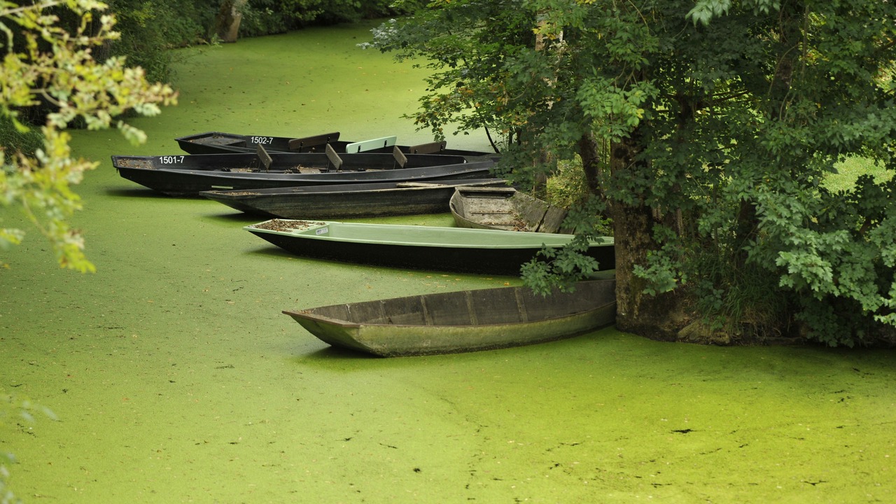 Photo of Others in Liez