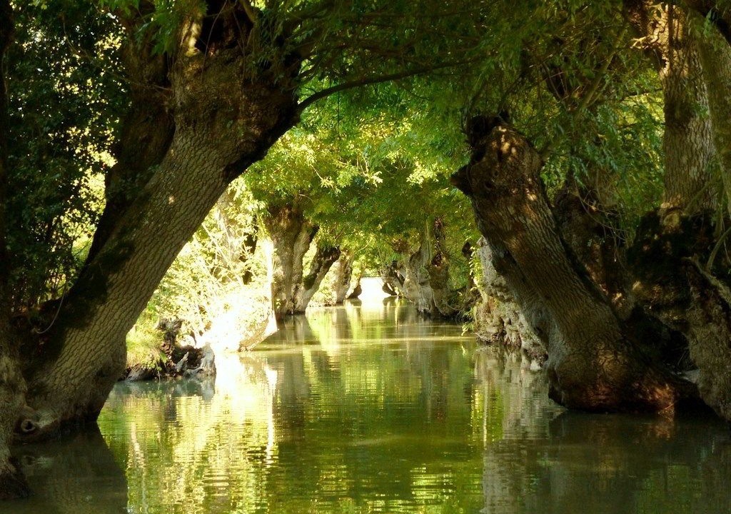 Photo of Outdoor in Liez