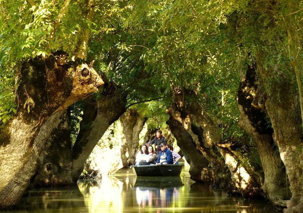 Photo of Others in Liez