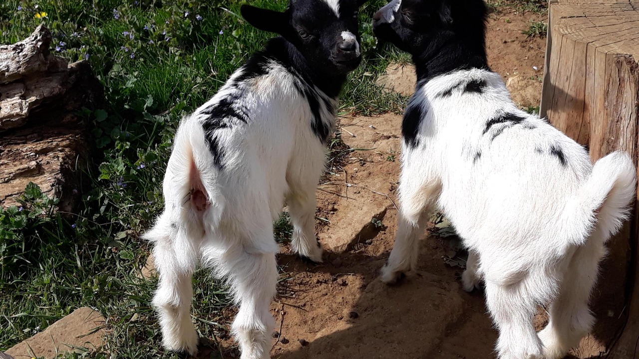 Photo of Outdoor in Fay