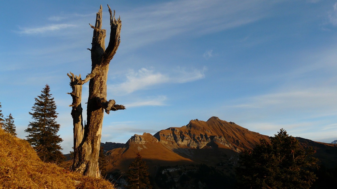 Photo of Outdoor in Lungern