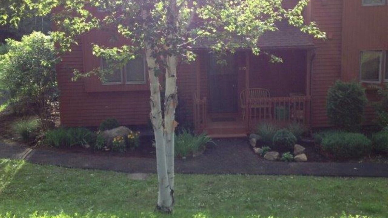 Photo of Outdoor in North Creek