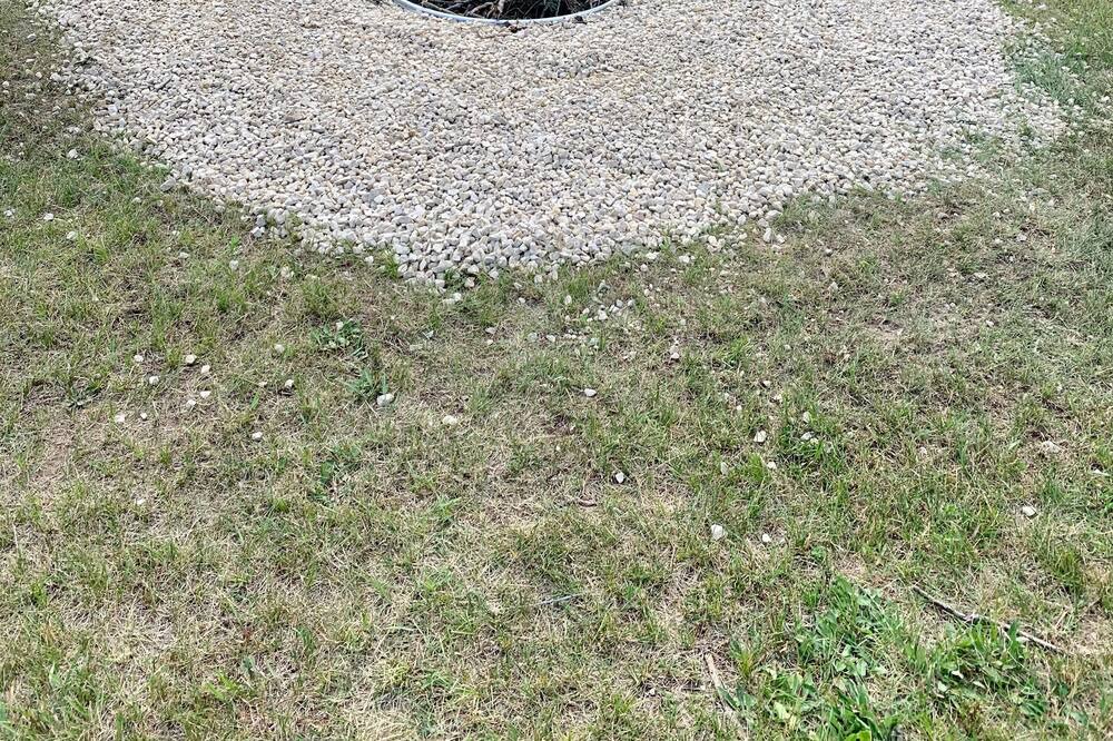 Photo of Outdoor in Necedah
