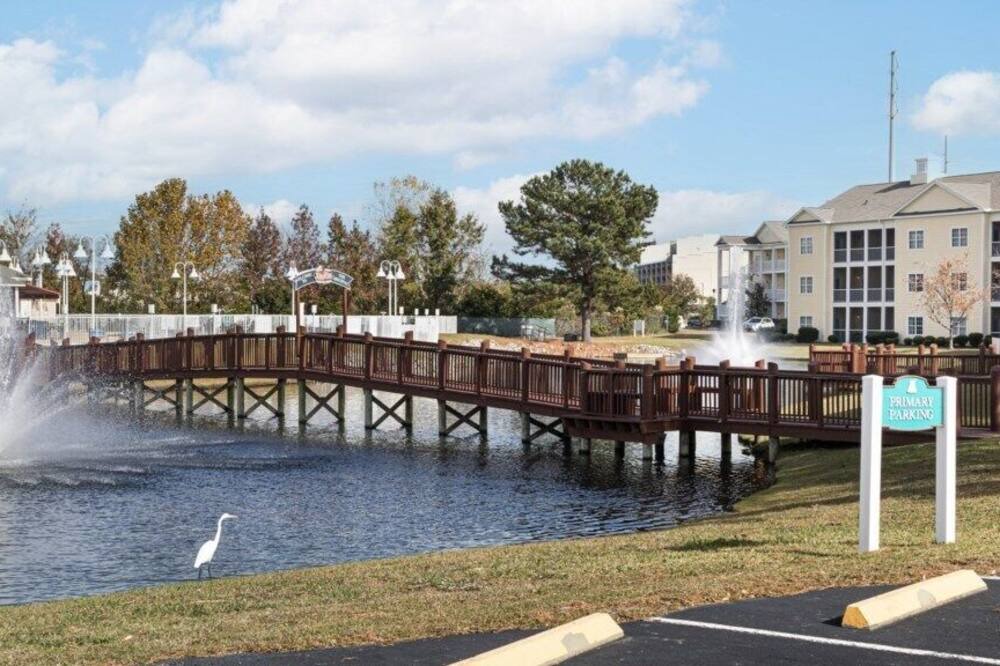 Photo of Others in Myrtle Beach