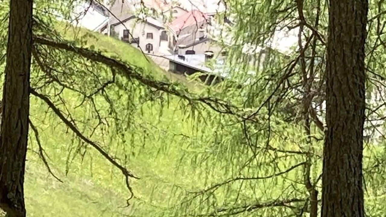 Photo of Outdoor in Vna