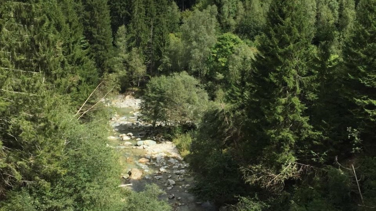 Photo of Others in Disentis