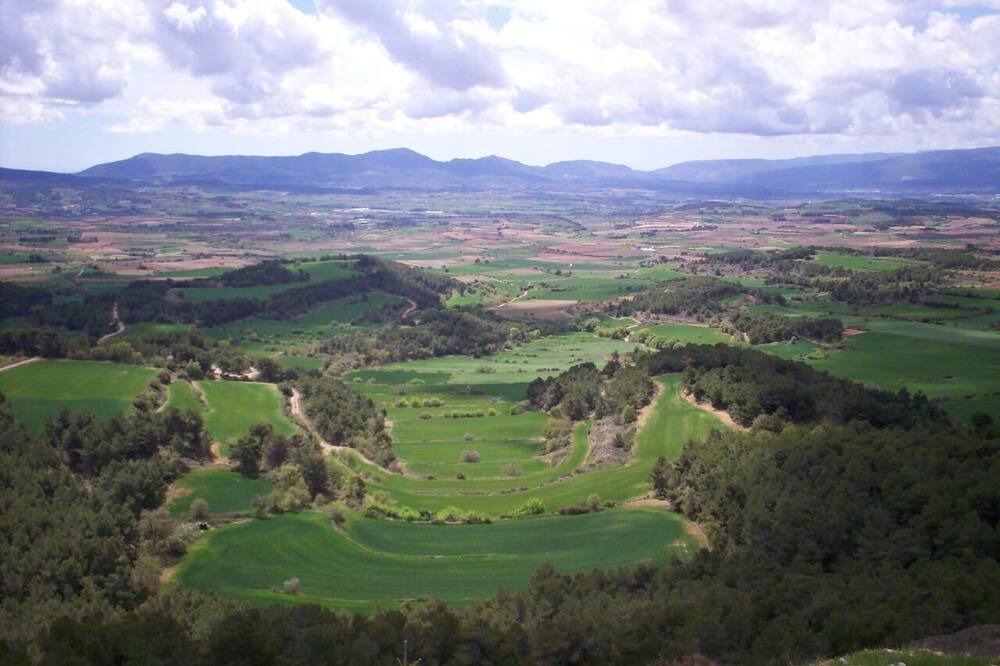 Photo of Others in Fores