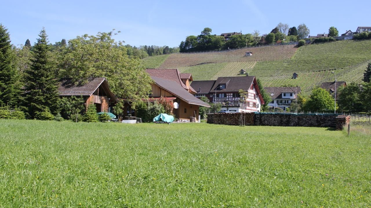 Photo of Outdoor in Meilen District