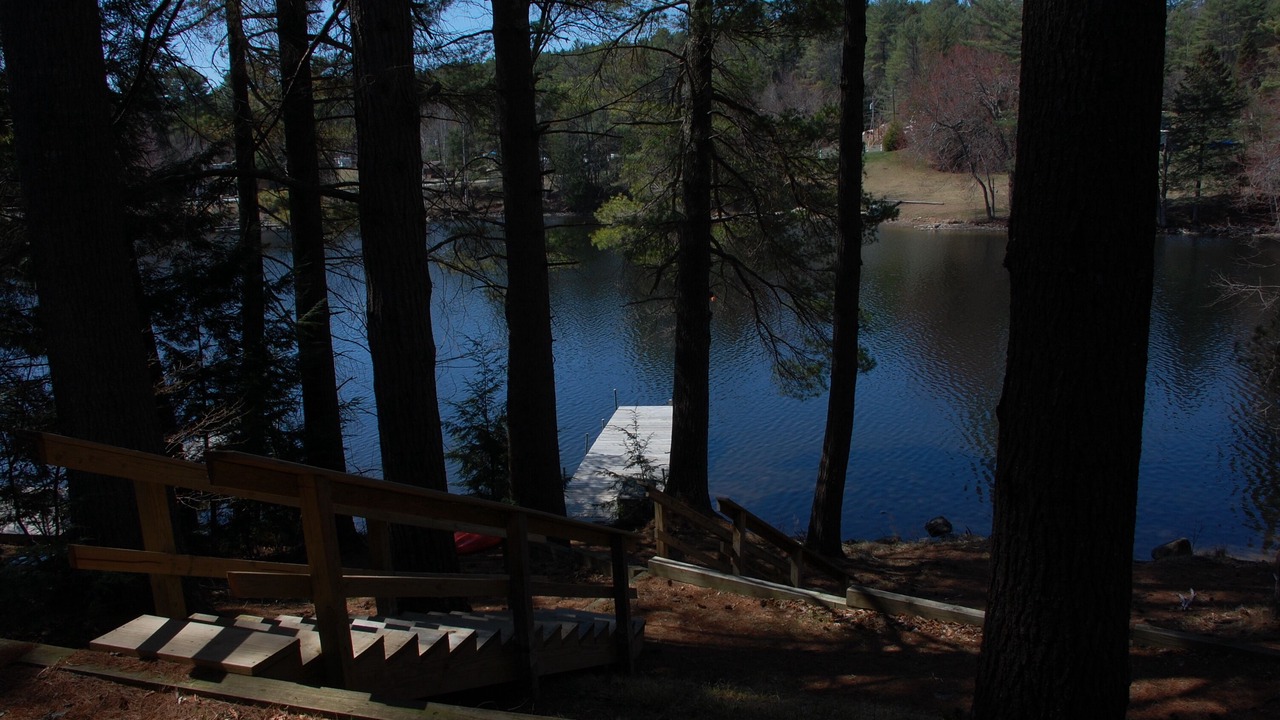 Photo of Others in Chestertown