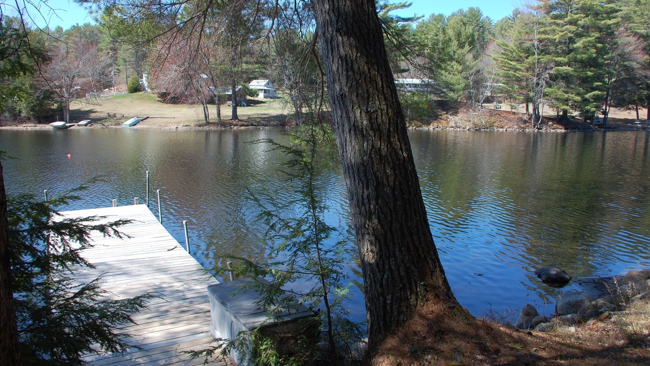 Photo of Others in Chestertown