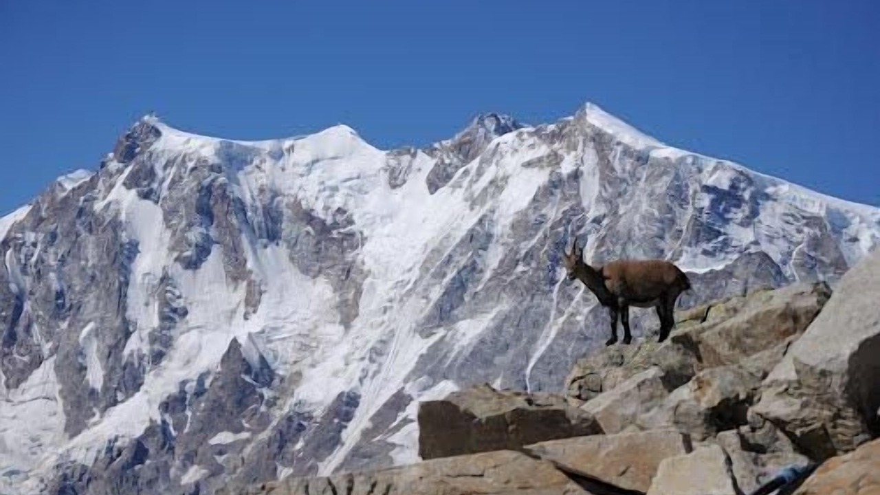 Photo of Others in Saas Almagell