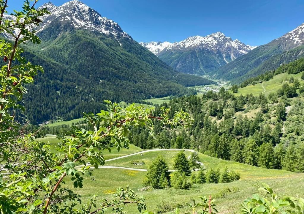 Photo of Others in Guarda