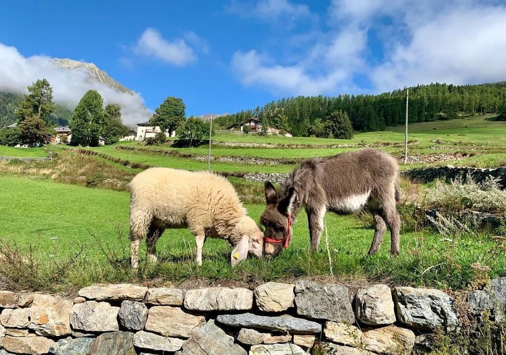 Photo of Outdoor in Guarda