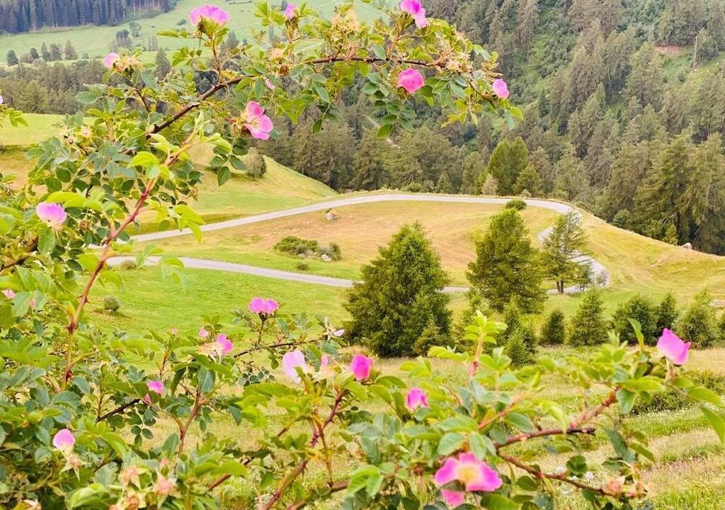 Photo of Outdoor in Guarda