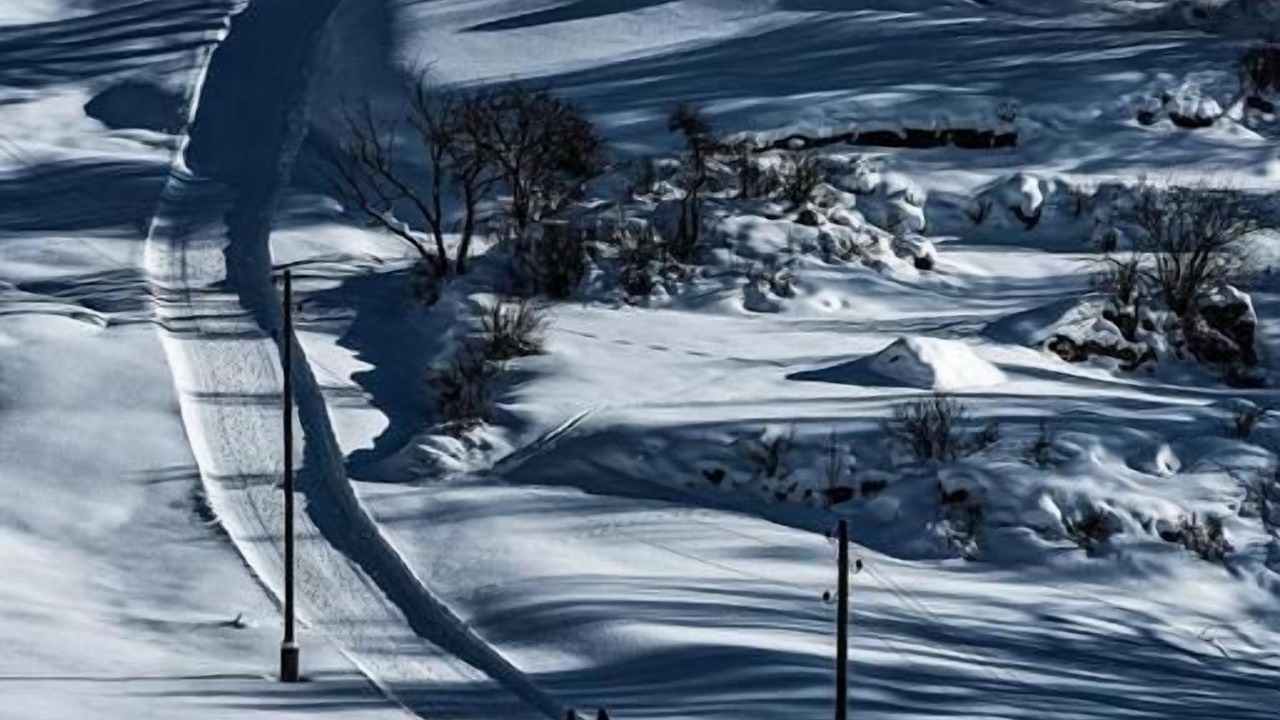 Photo of Others in Guarda