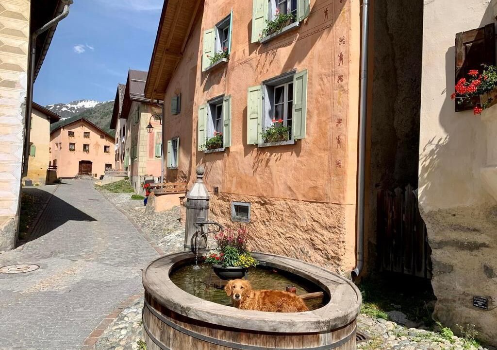 Photo of Outdoor in Guarda