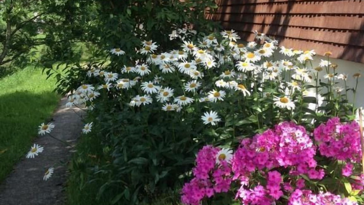 Photo of Outdoor in Wildhaus