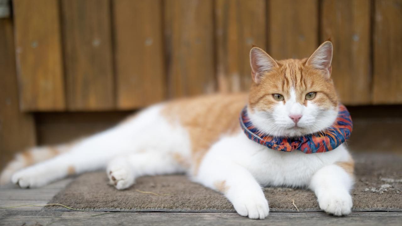 Photo of Others in Durrenroth