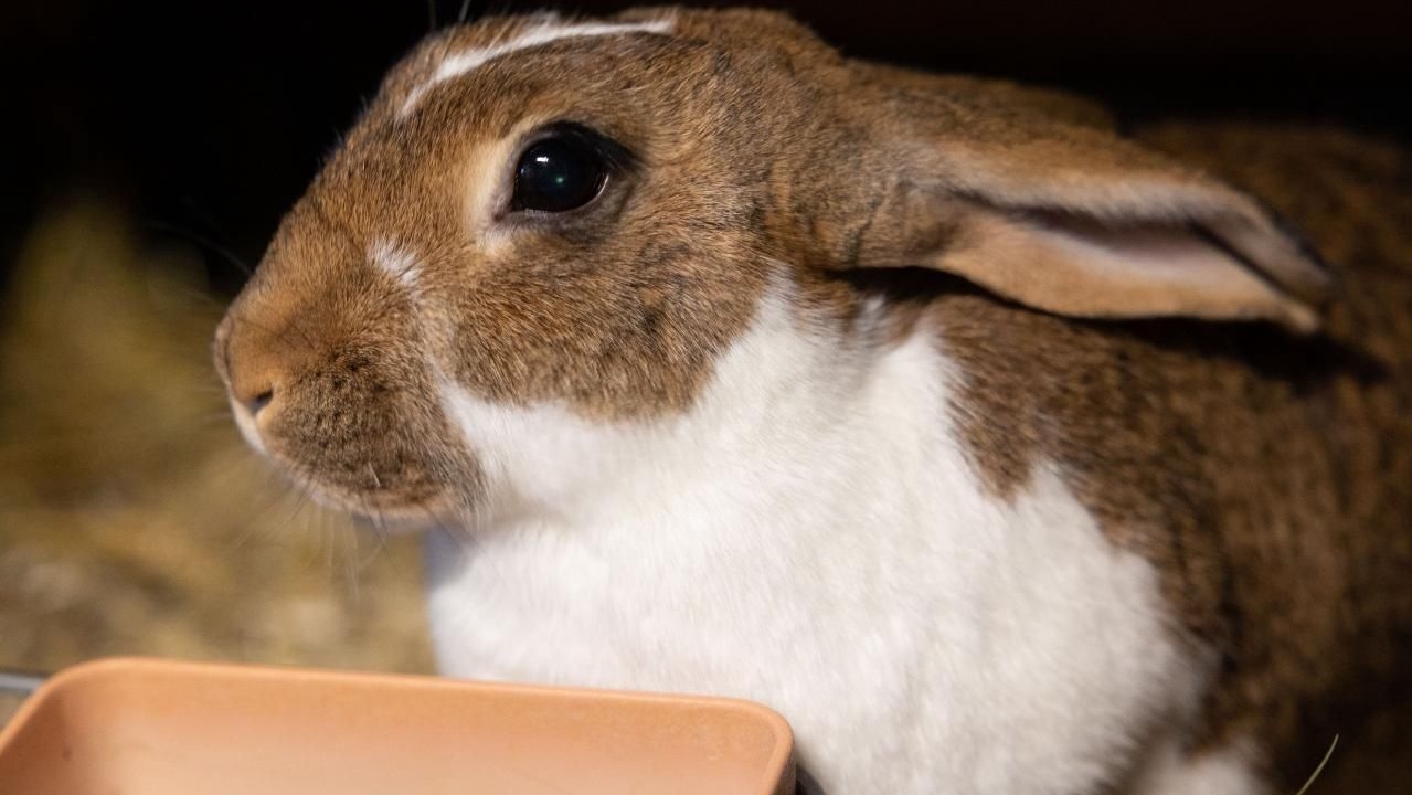 Photo of Others in Durrenroth