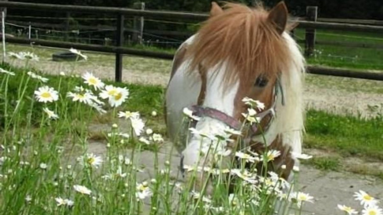 Photo of Others in Durrenroth