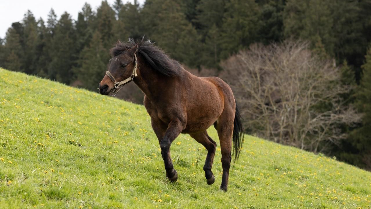 Photo of Others in Durrenroth