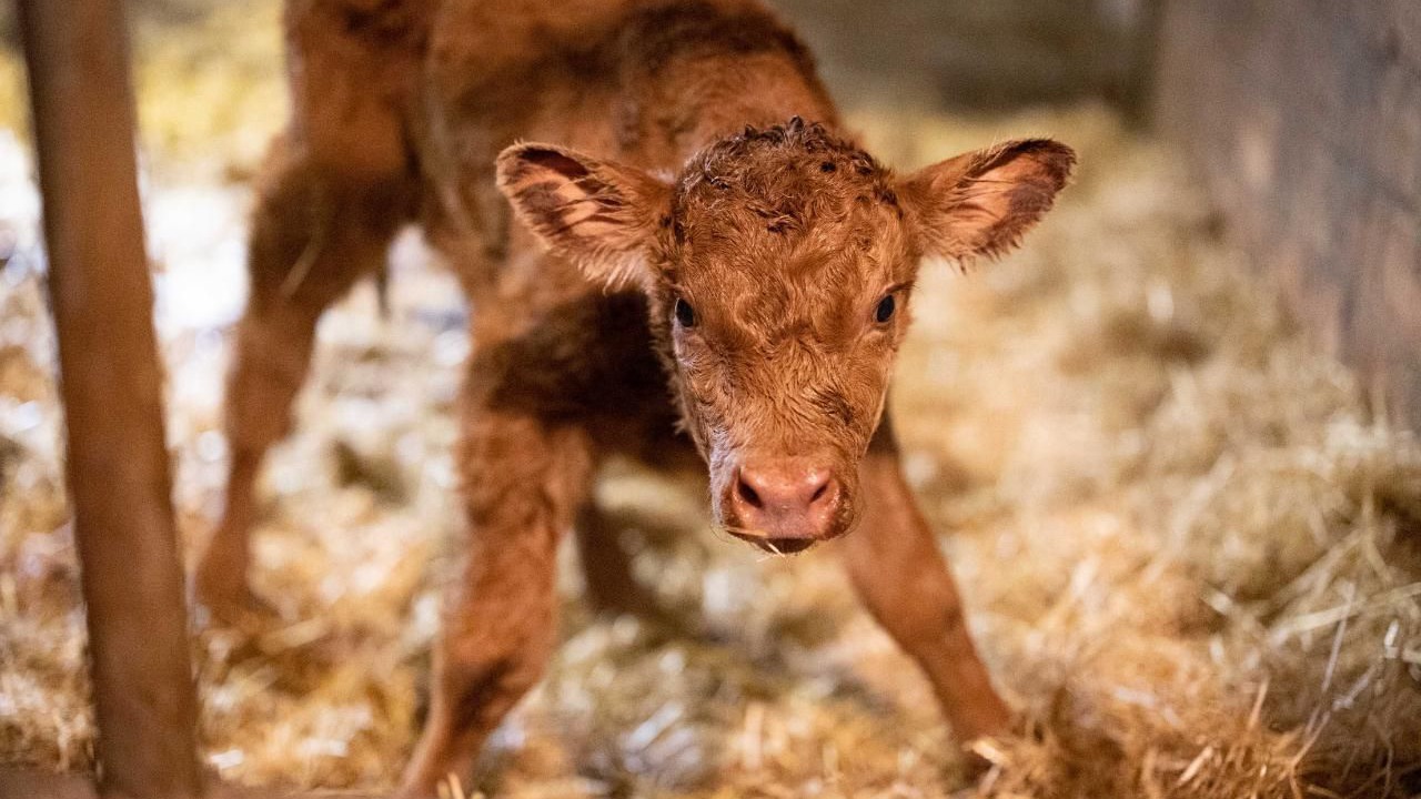 Photo of Others in Durrenroth