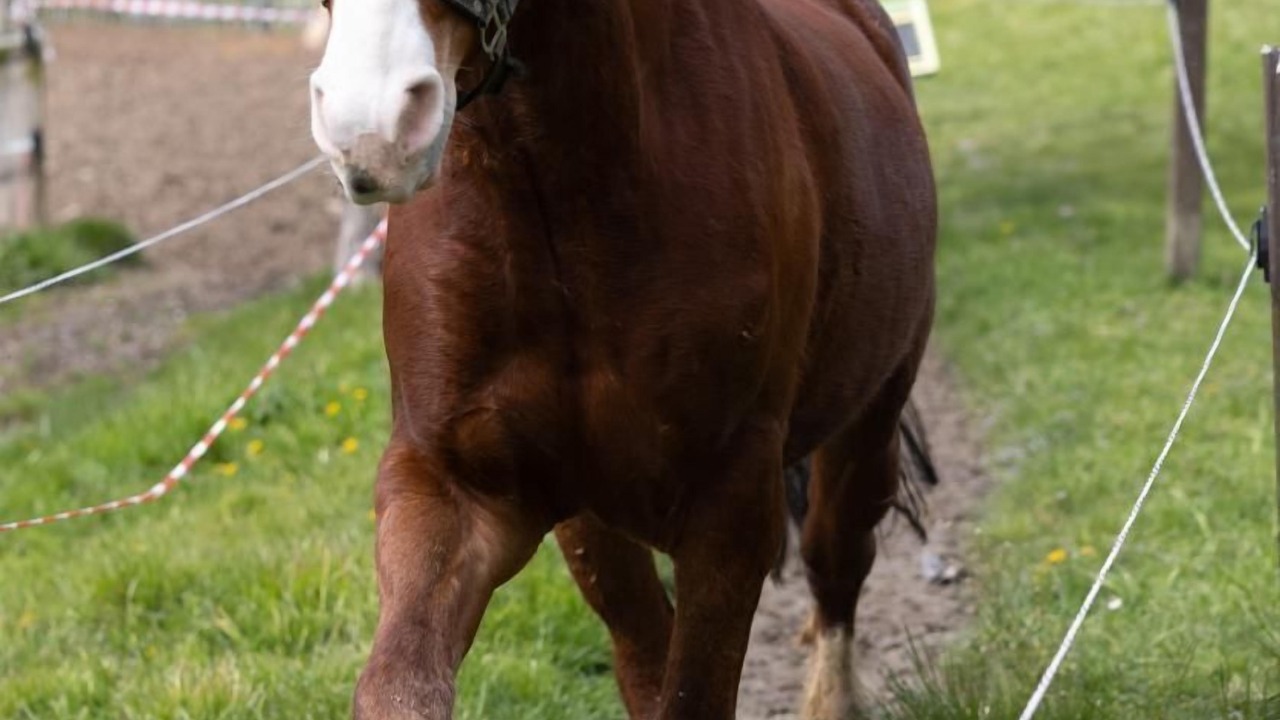 Photo of Others in Durrenroth