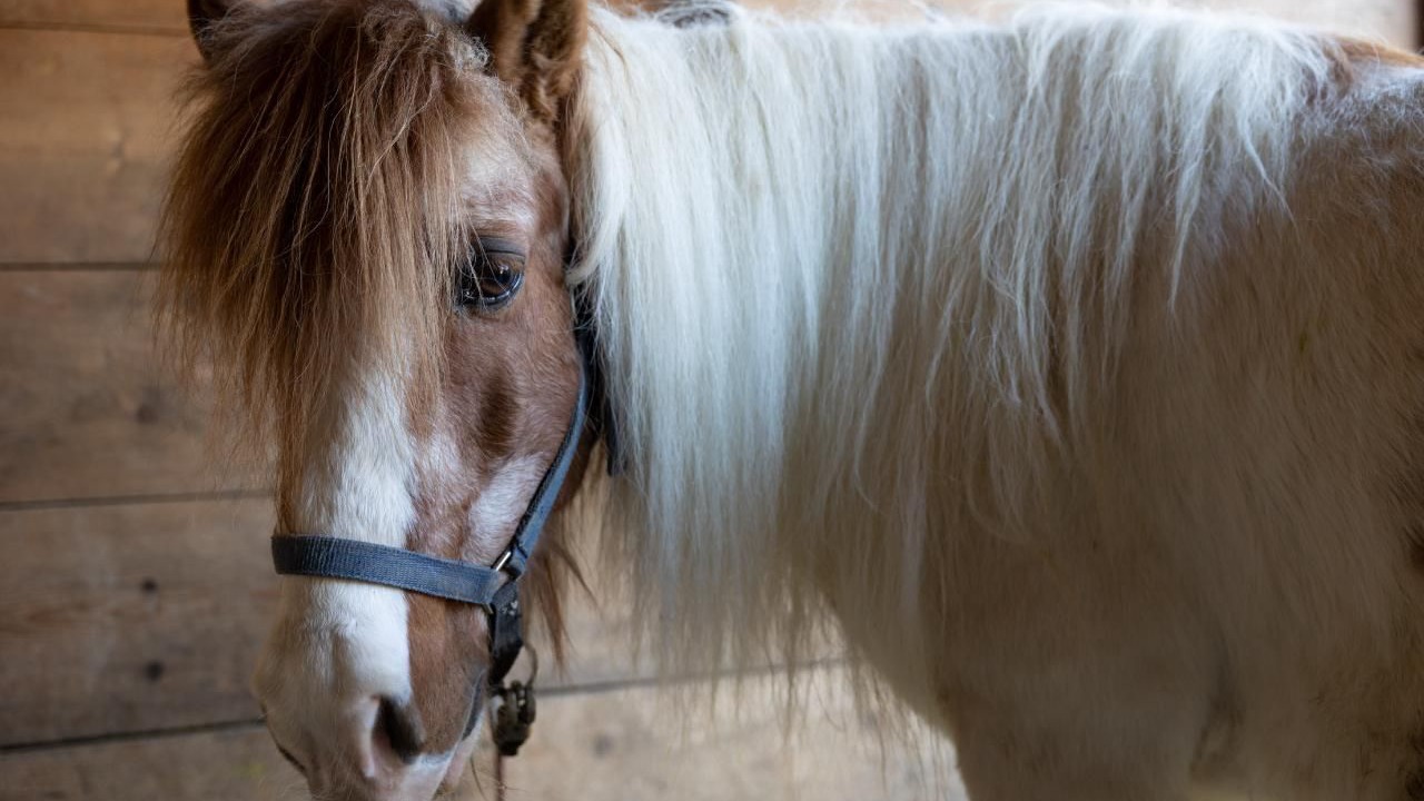 Photo of Others in Durrenroth