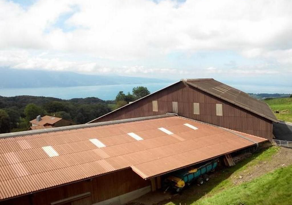 Photo of Outdoor in Chardonne