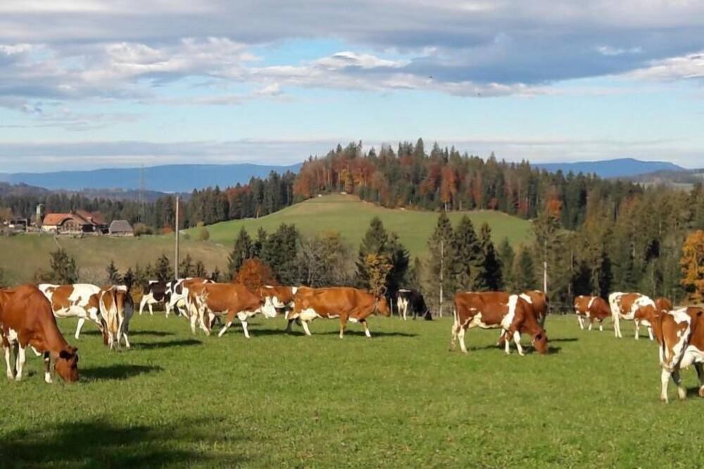 Photo of Outdoor in Hasle bei Burgdorf