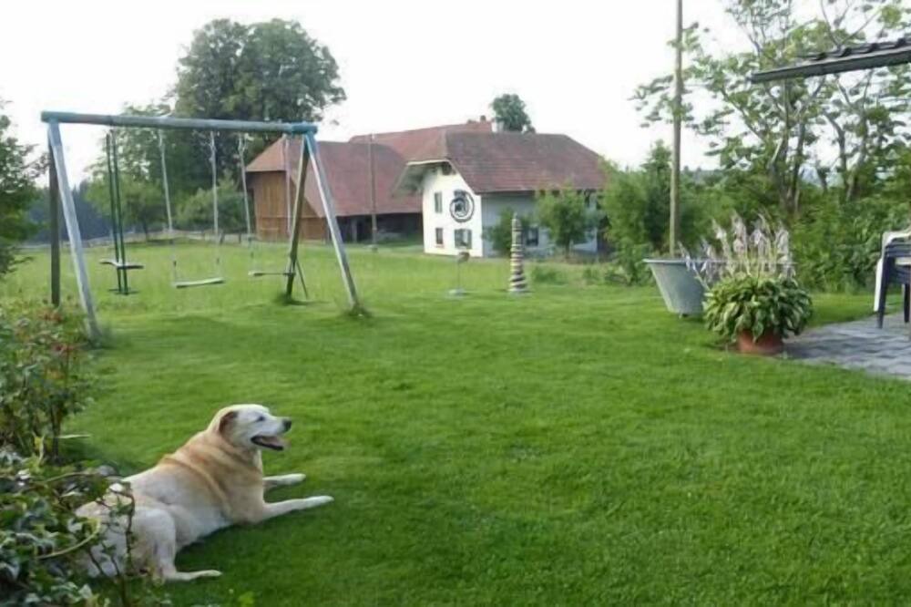 Photo of Outdoor in Hasle bei Burgdorf