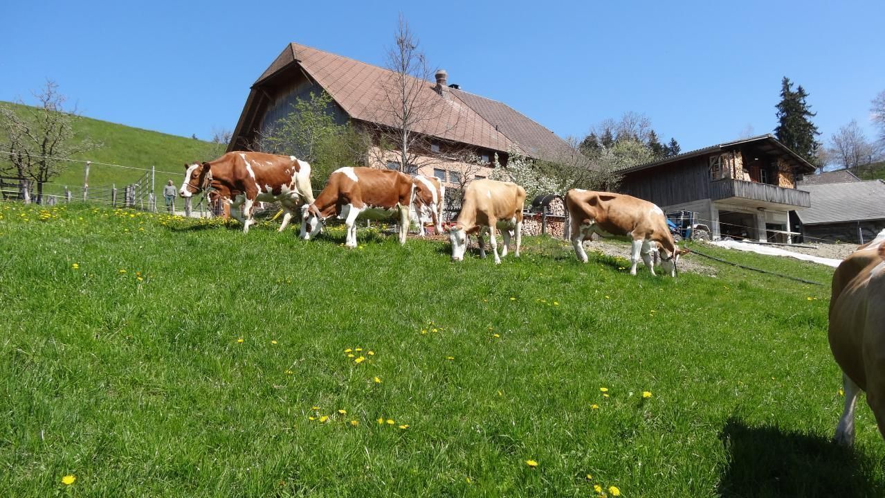 Photo of Others in Signau